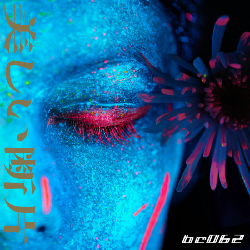 Dark Fidelity Hi Fi - Beautiful Fragments - Bricolage Records | The Electro Review