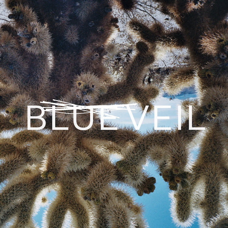 Blue Veil Man Against Self Dichotomy Records | The Electro Review