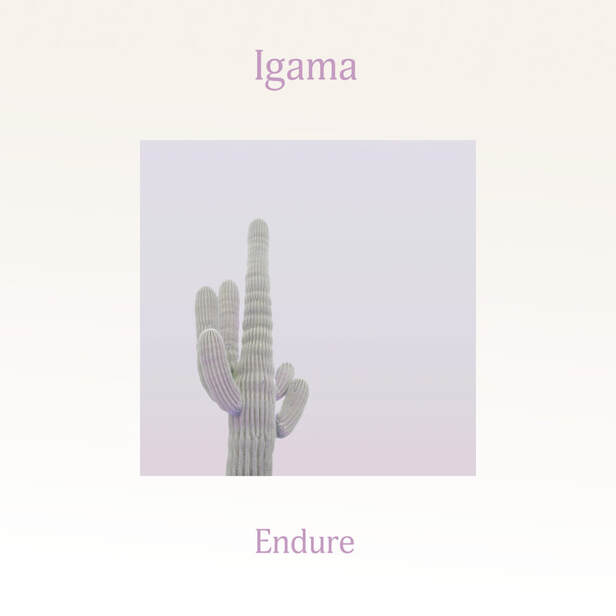 Igama Endure EP