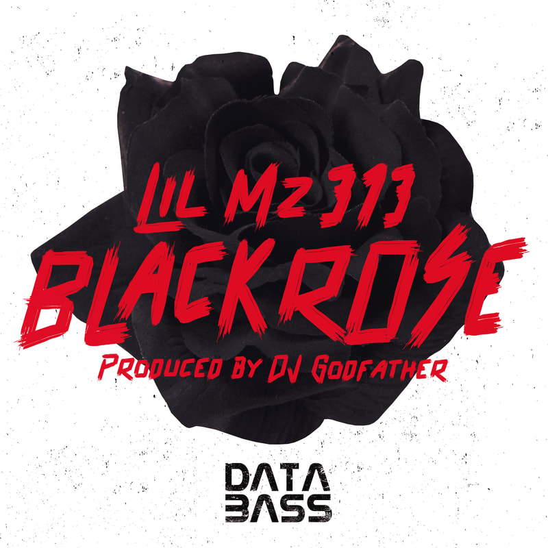 Lil Mz 313 - Black Rose - Data Bass Records | The Electro Review