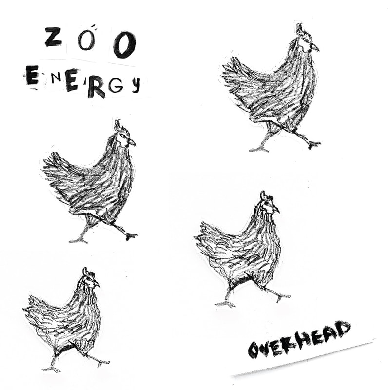 Zoo Energy Overhead EP Chickens